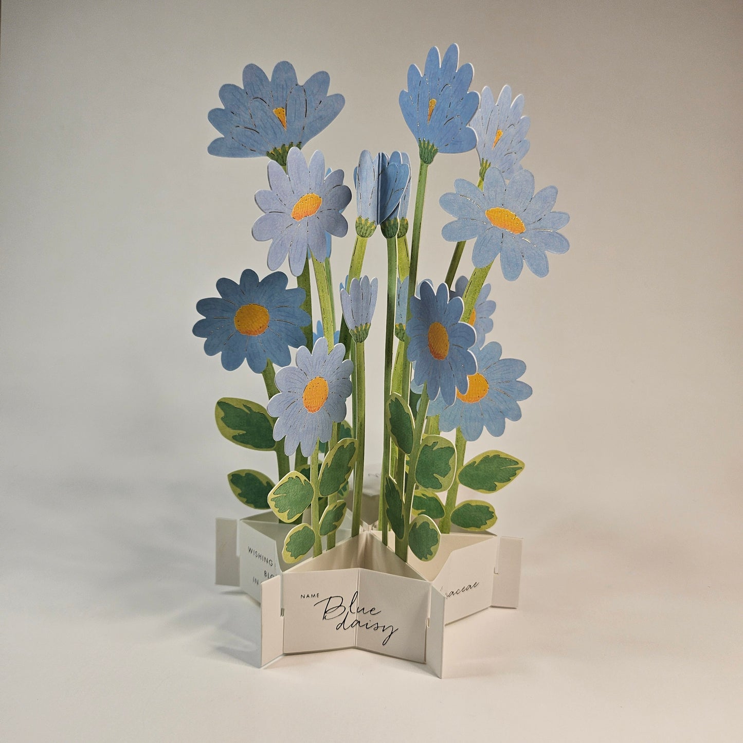 Blue Daisy Pop-up Card