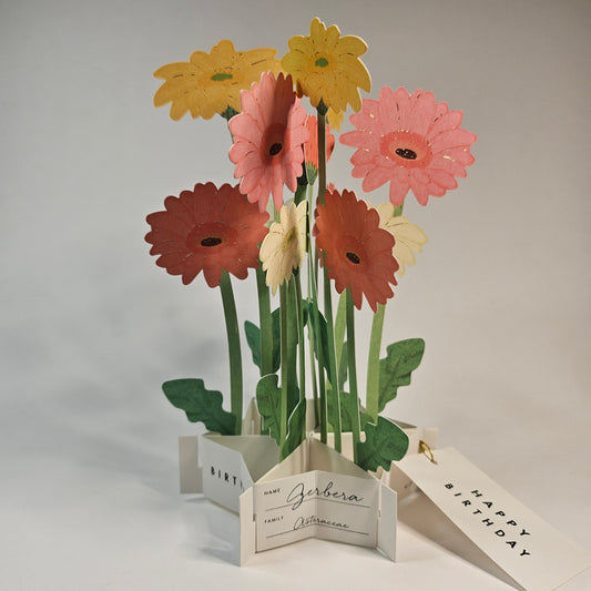 Gerbera Birthday Pop-up Card
