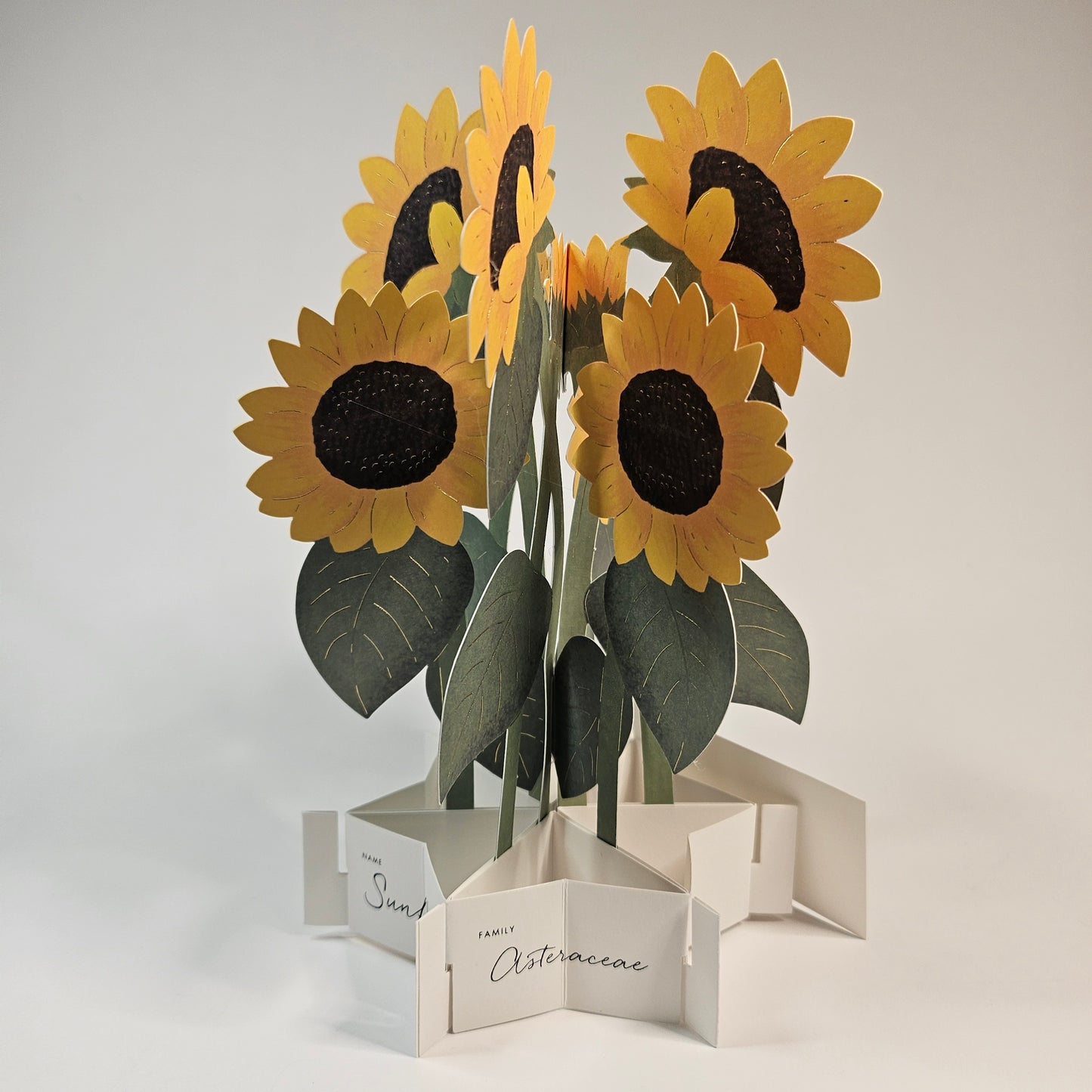 Summer Blooming Pop-up Card