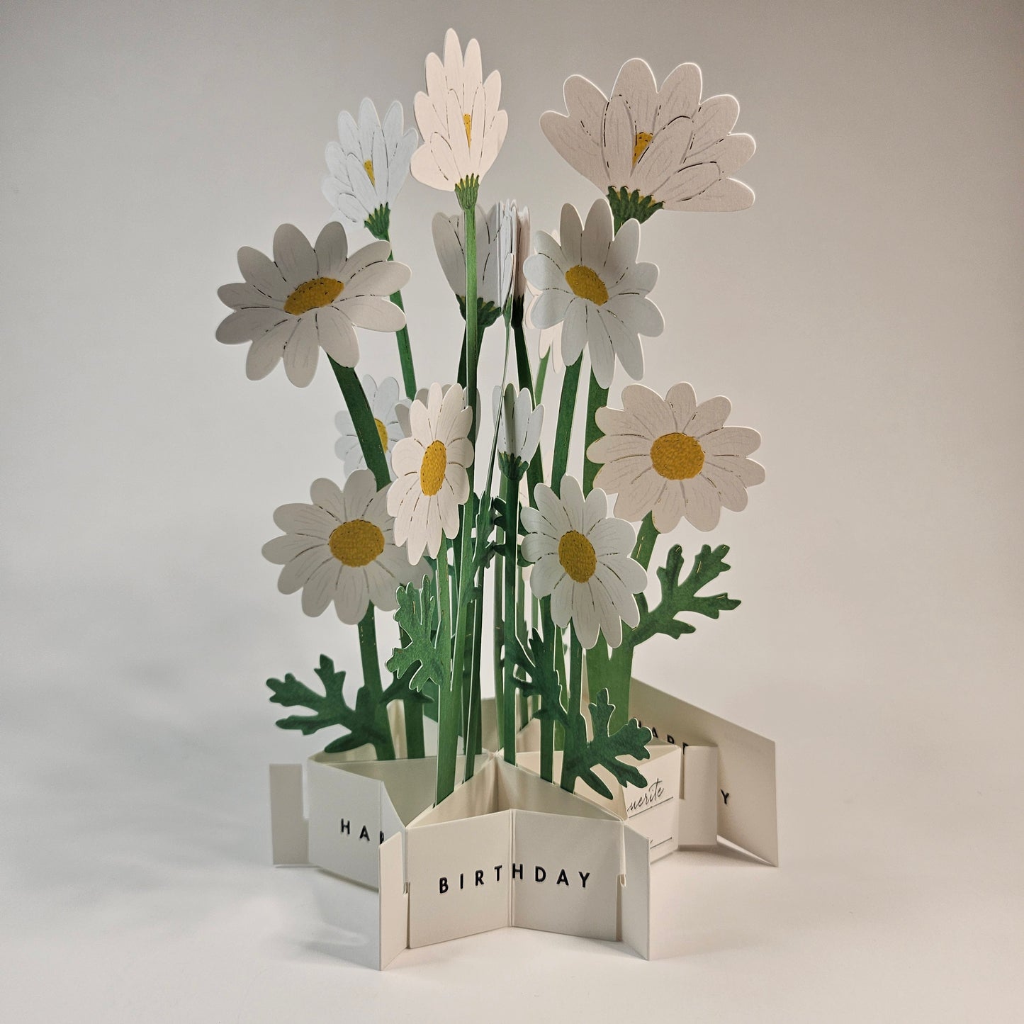 Marguerite Birthday Pop-up Card