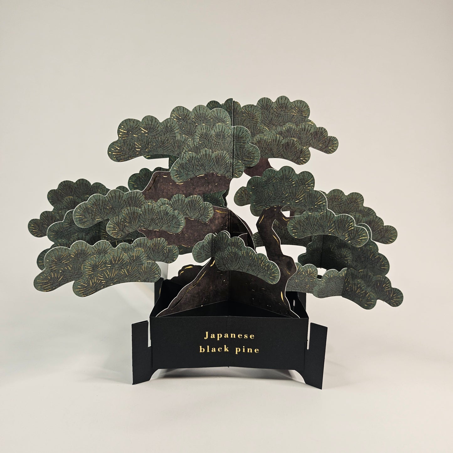 Bonsai Pop-up Card