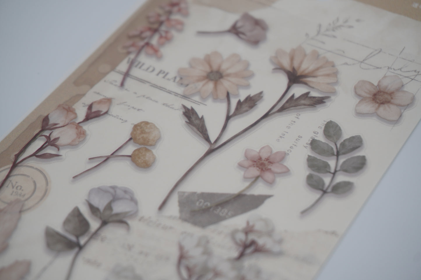 MIND WAVE Decoration MIND WAVE Decoration Paper & Plant sticker beige