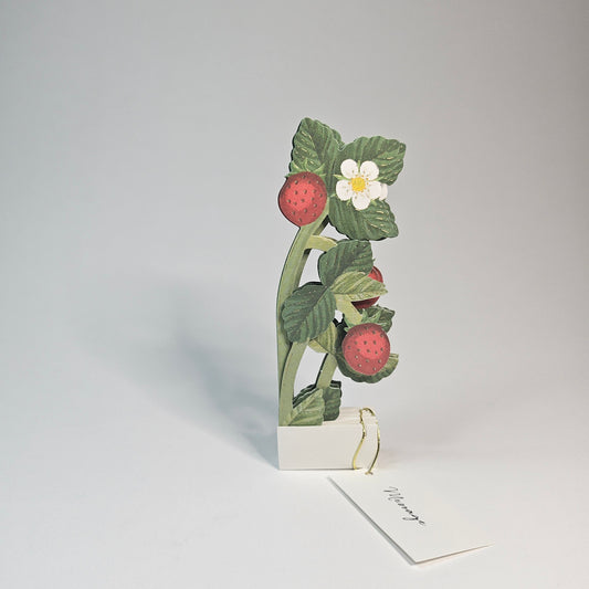 Strawberry Blooming Mini Pop-up Card