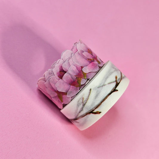 Bande Decoration Masking Roll Sticker (Kawazu Cherry Tree)