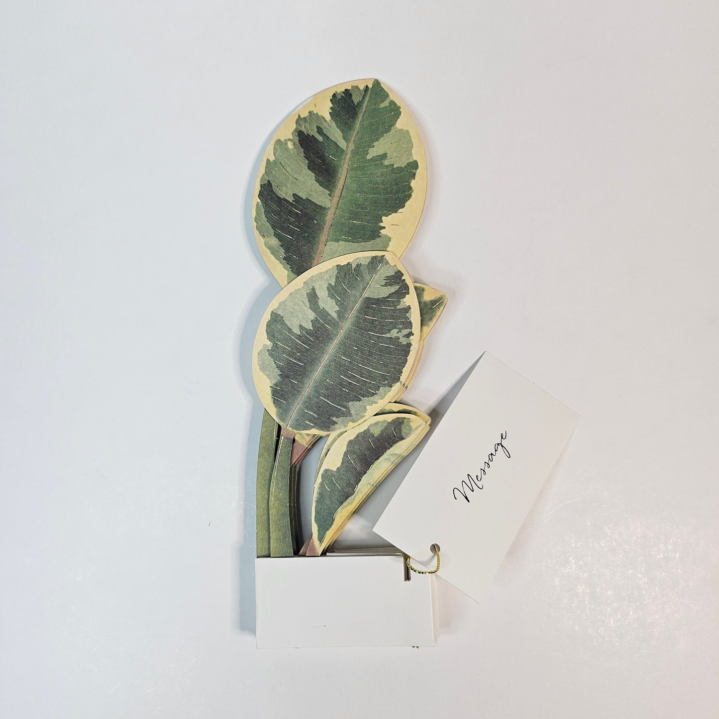 Ficus Artesima Pop-up Card