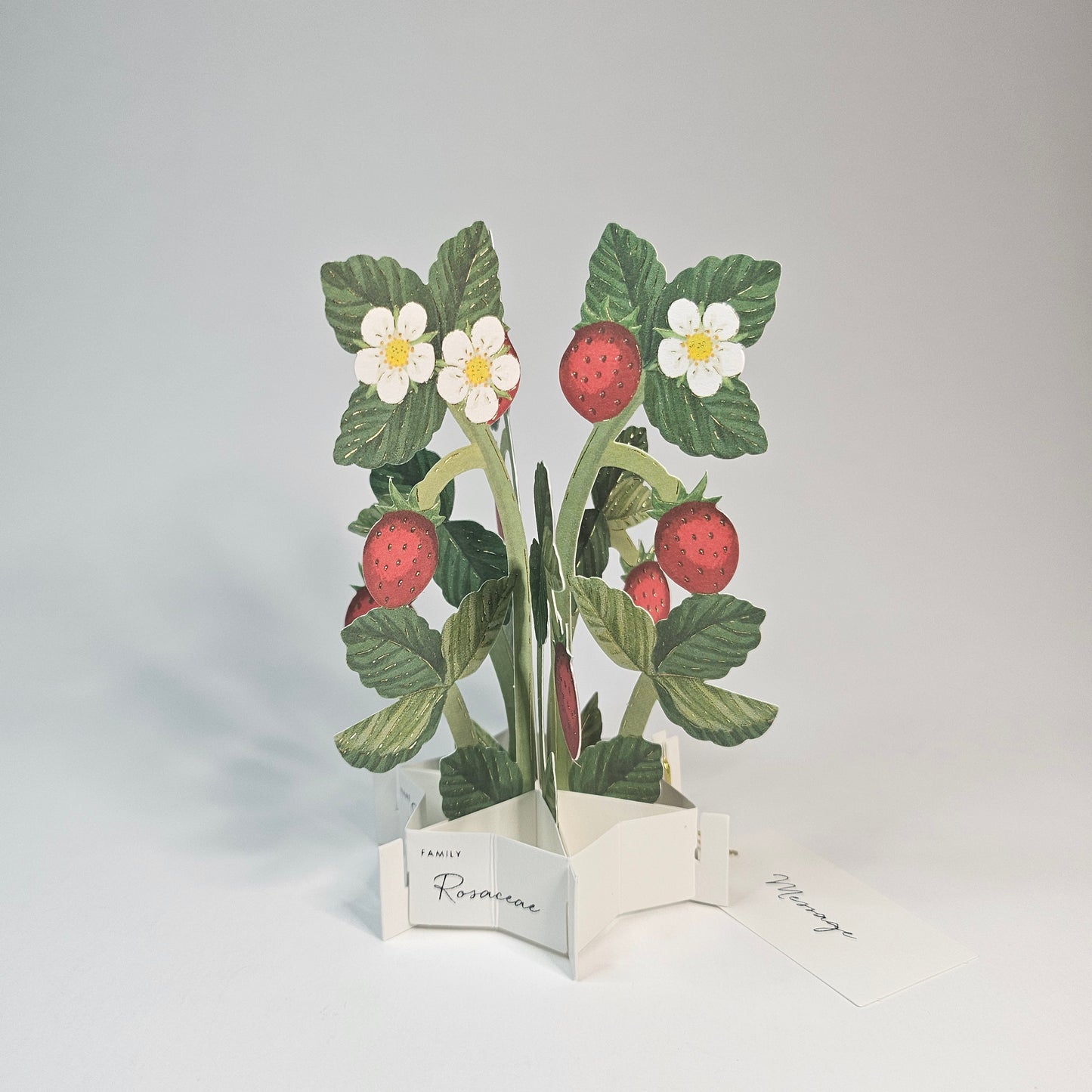 Strawberry Blooming Mini Pop-up Card