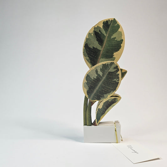Ficus Artesima Pop-up Card