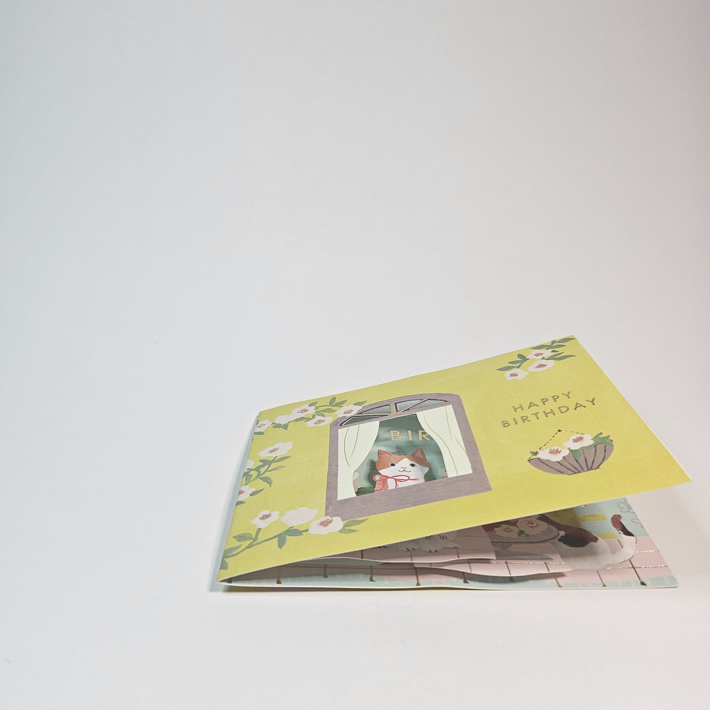 Birthday Pop-up Card (Cat)