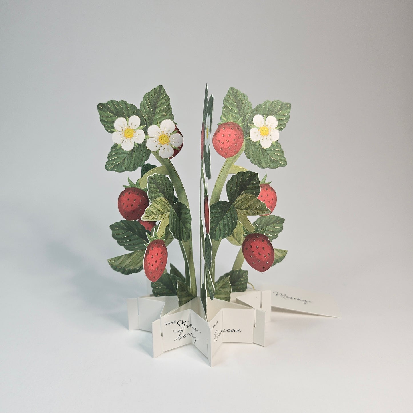 Strawberry Blooming Mini Pop-up Card