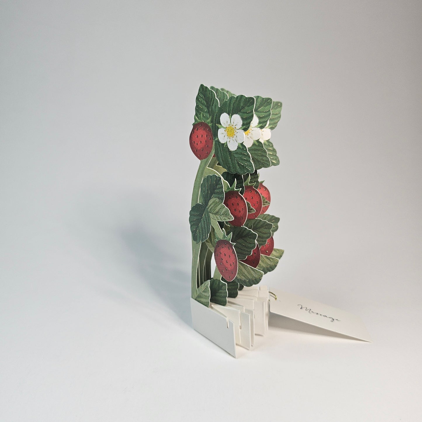 Strawberry Blooming Mini Pop-up Card