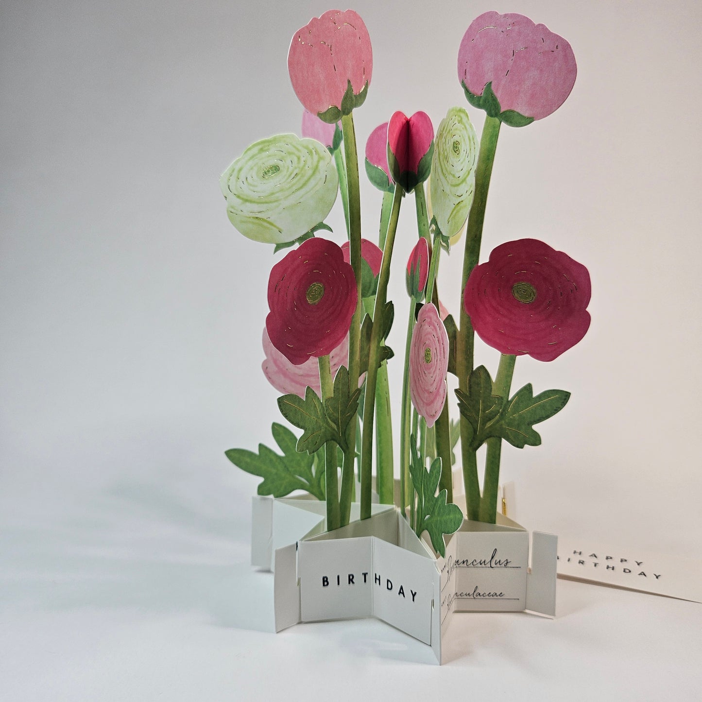 Ranunculus Pop-up Card