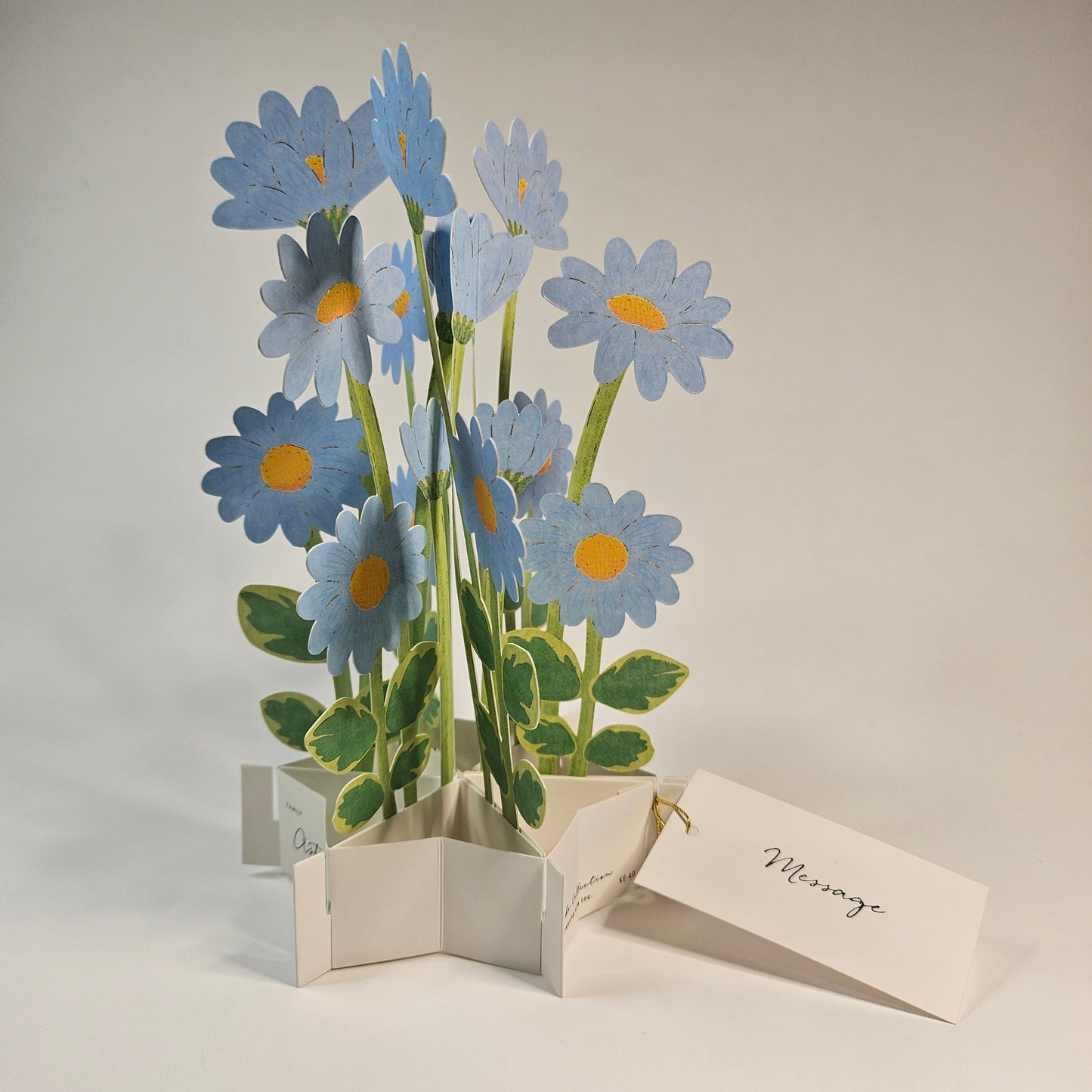 Blue Daisy Pop-up Card