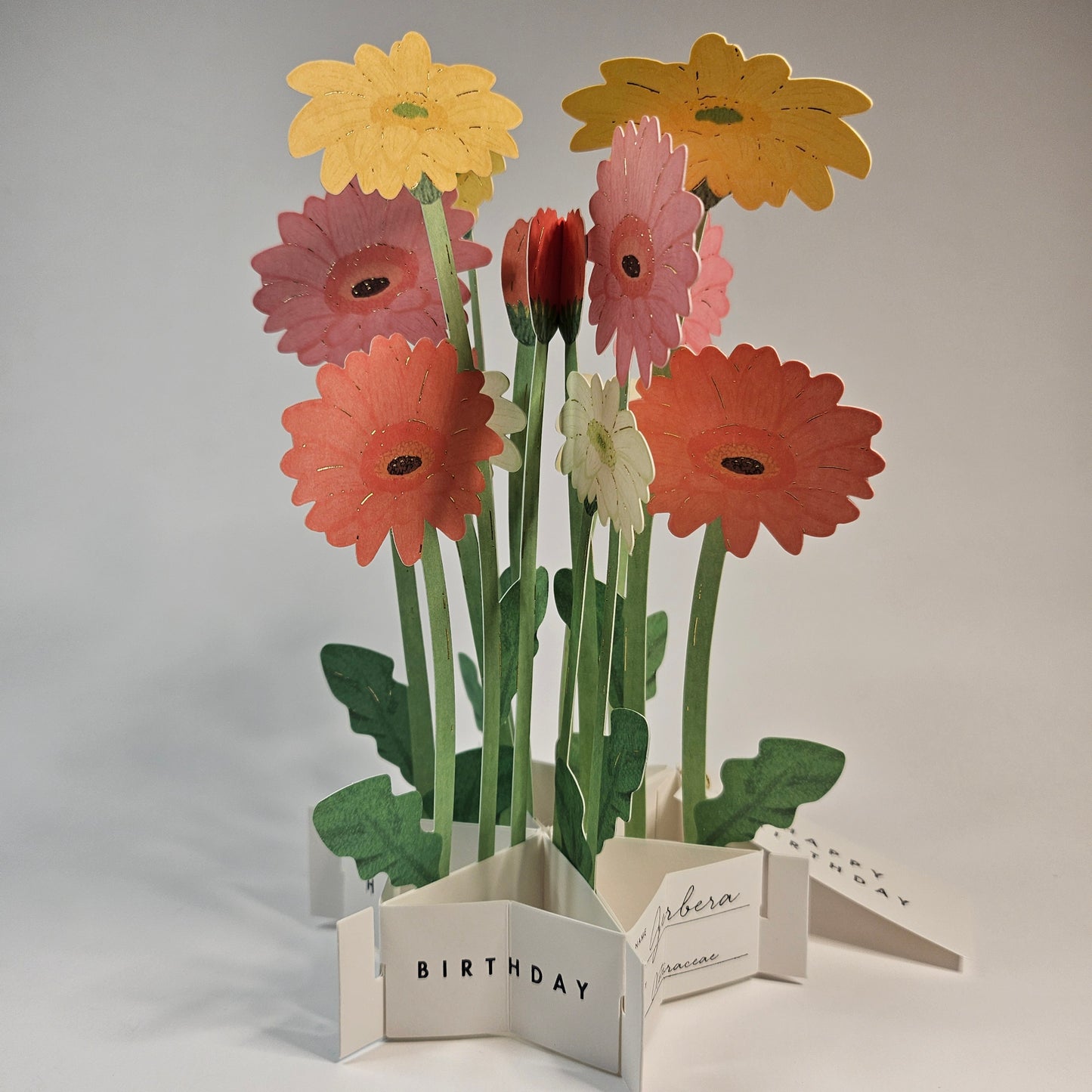 Gerbera Birthday Pop-up Card