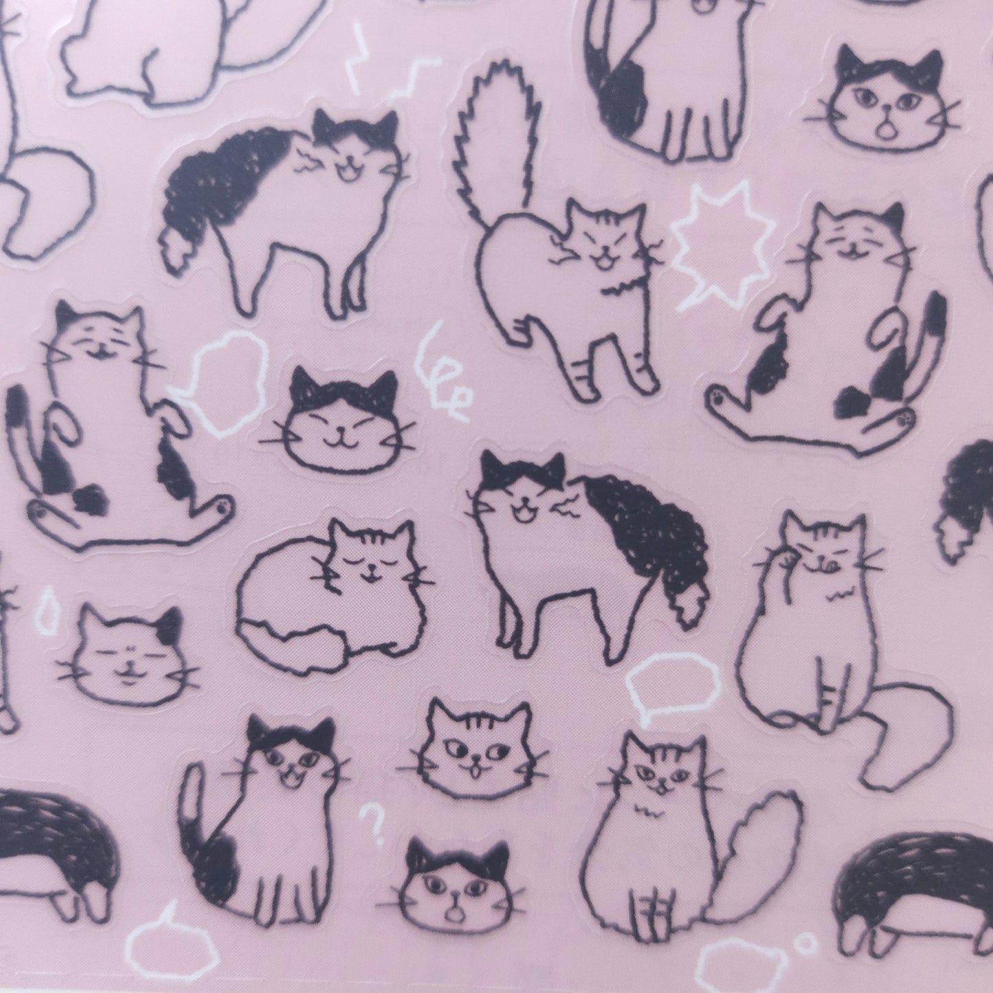MD Sticker 2554 - Chat Cat