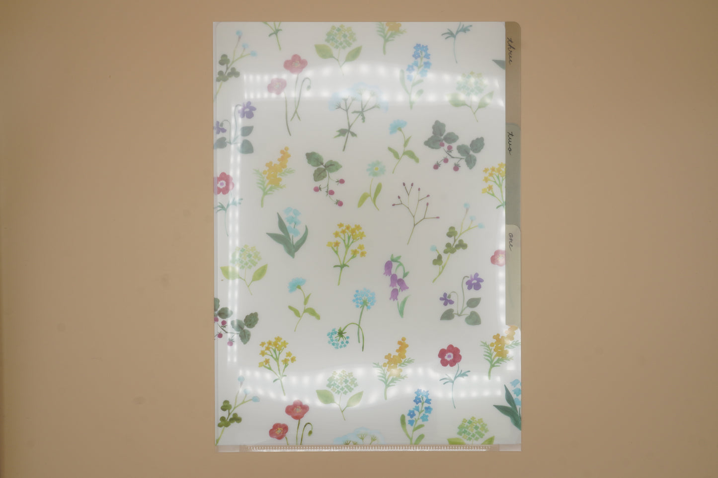 3-Pocket Clear Folder A4