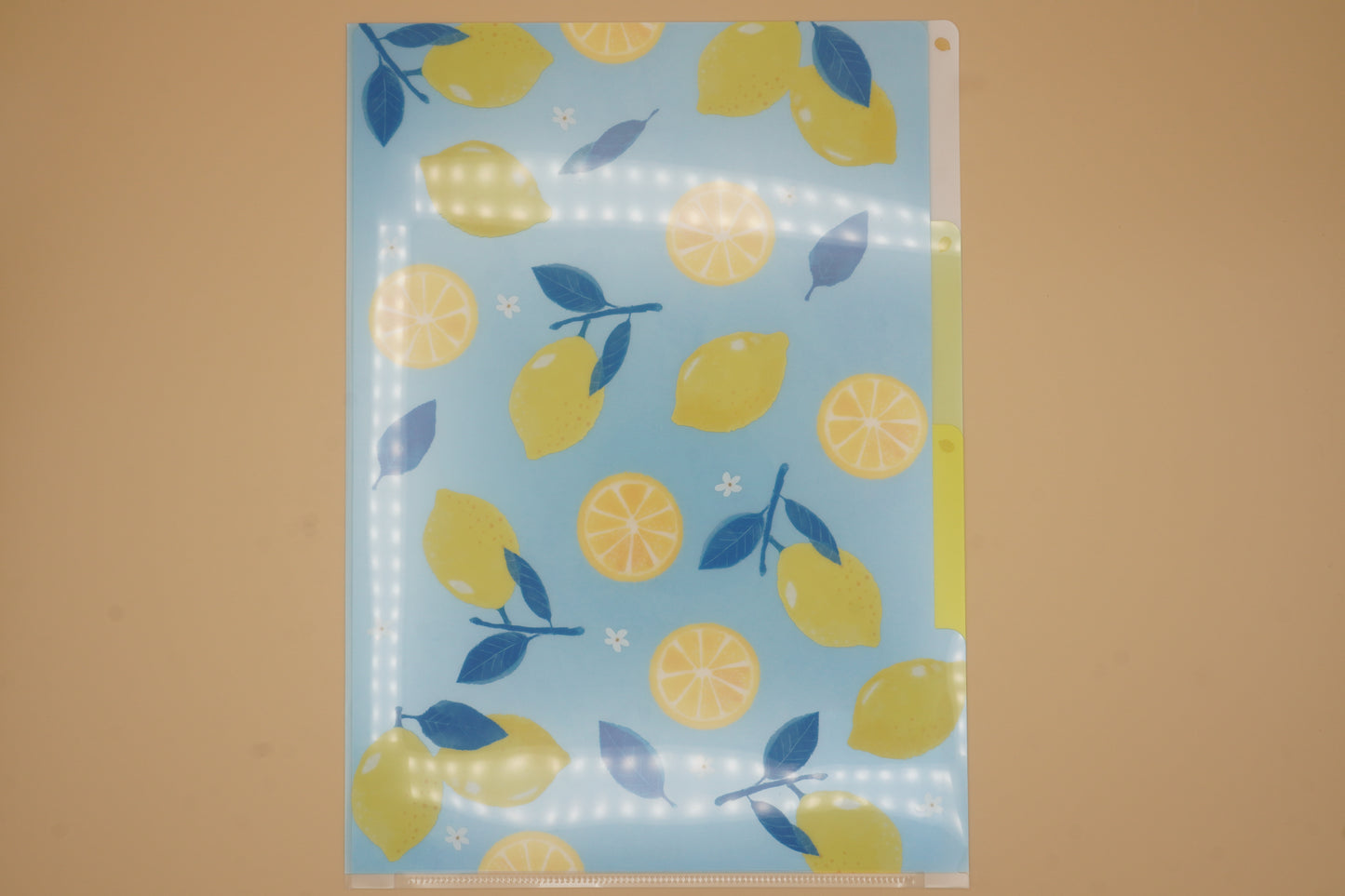 3-Pocket Clear Folder A4