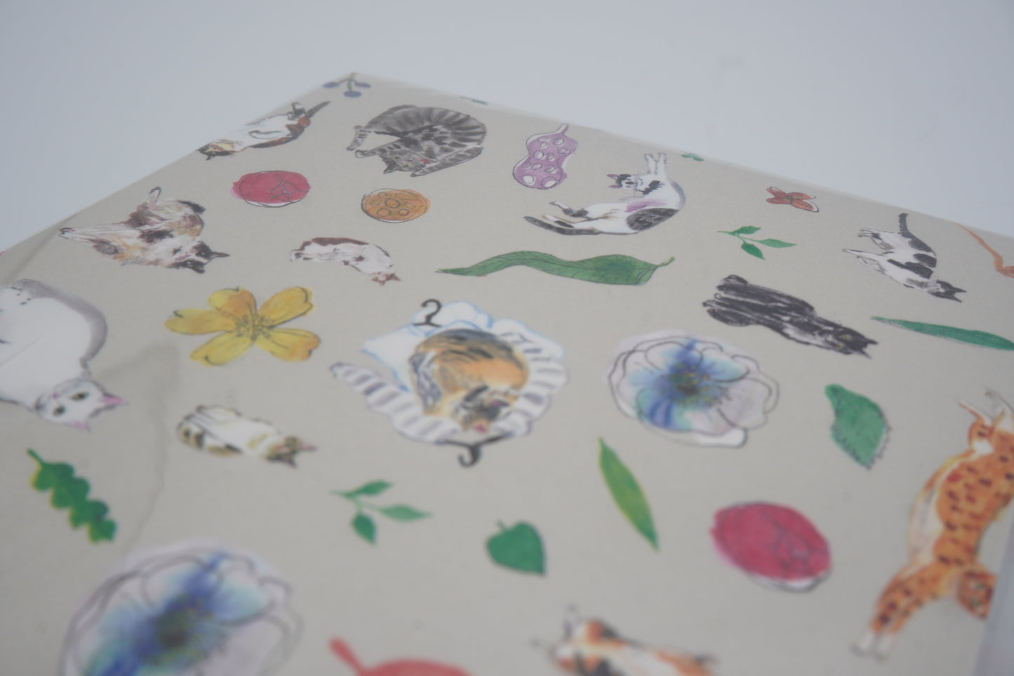 Paper Message Notepad Memo (Cat encyclopedia)