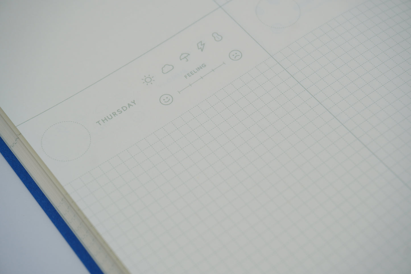 El Commun Cotomo - Notebook B6 monthly