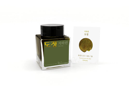 Wearingeul Path fountain pen ink, 30ml bottle