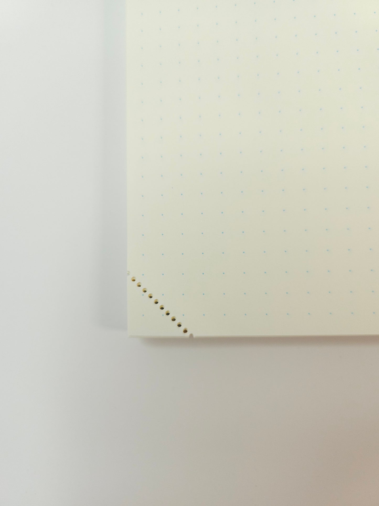 MD NOTEBOOK JOURNAL Codex 1Day 1Page <5> Dot grid