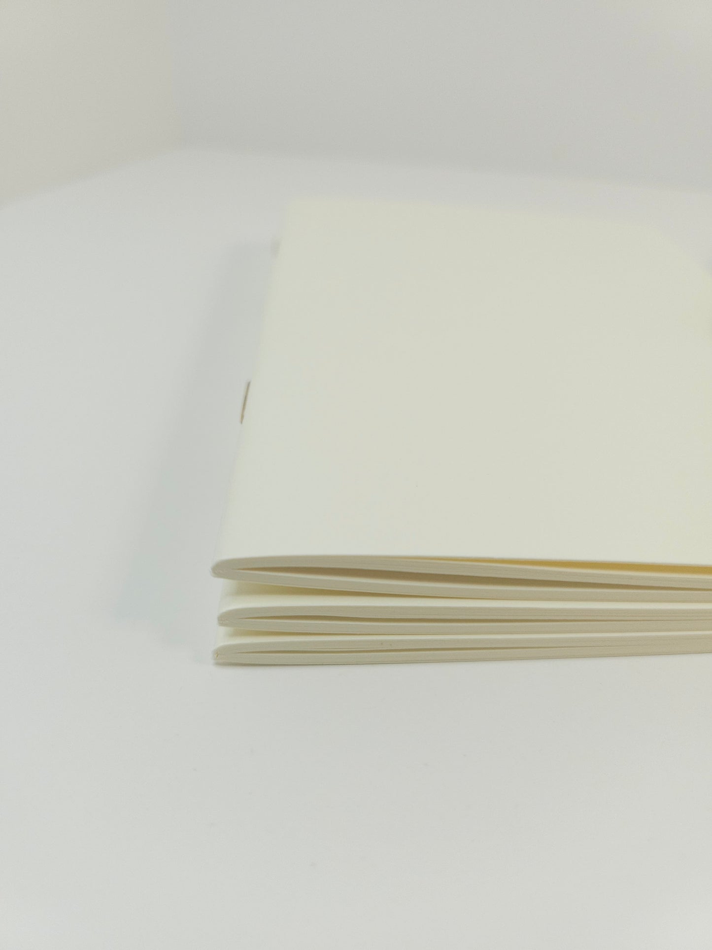 MD NOTEBOOK LIGHT <A6> Blank (pack of 3)