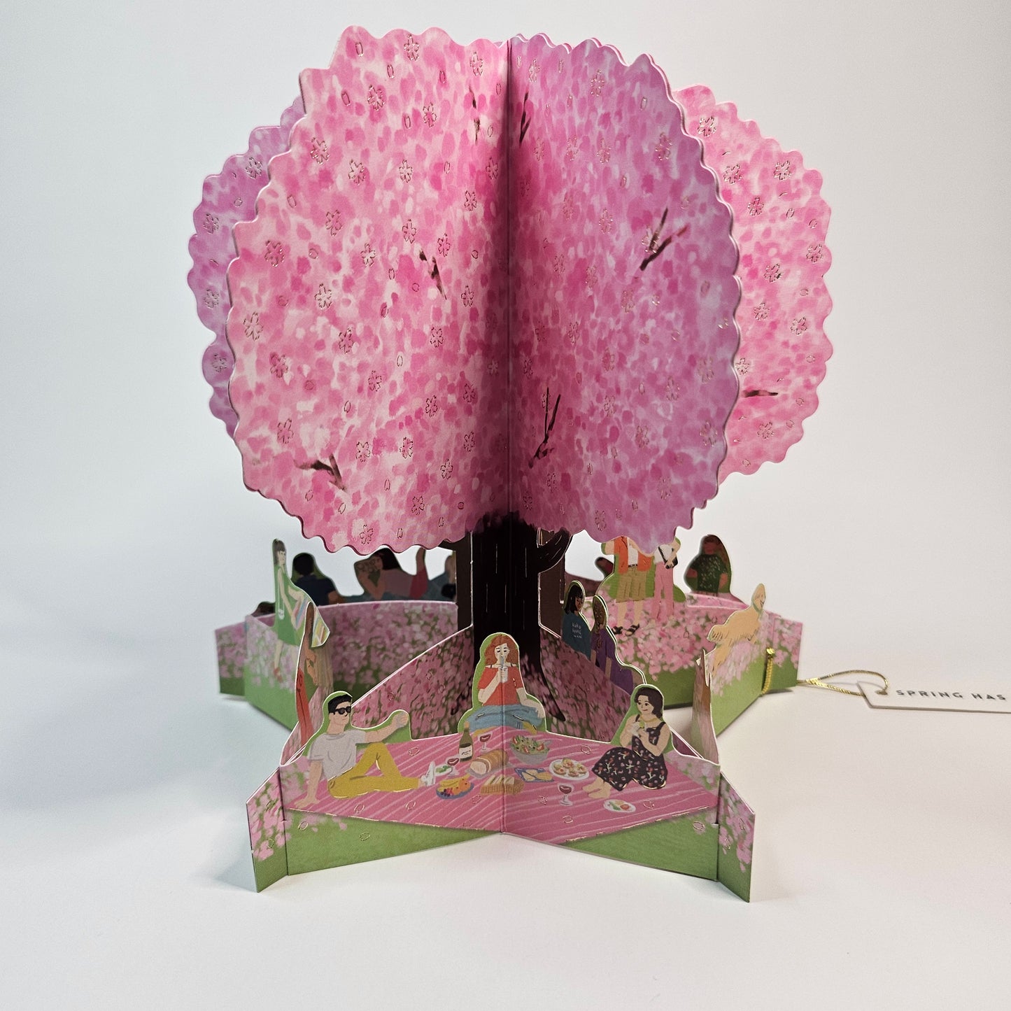 Sakura Hanami Pop-up Card