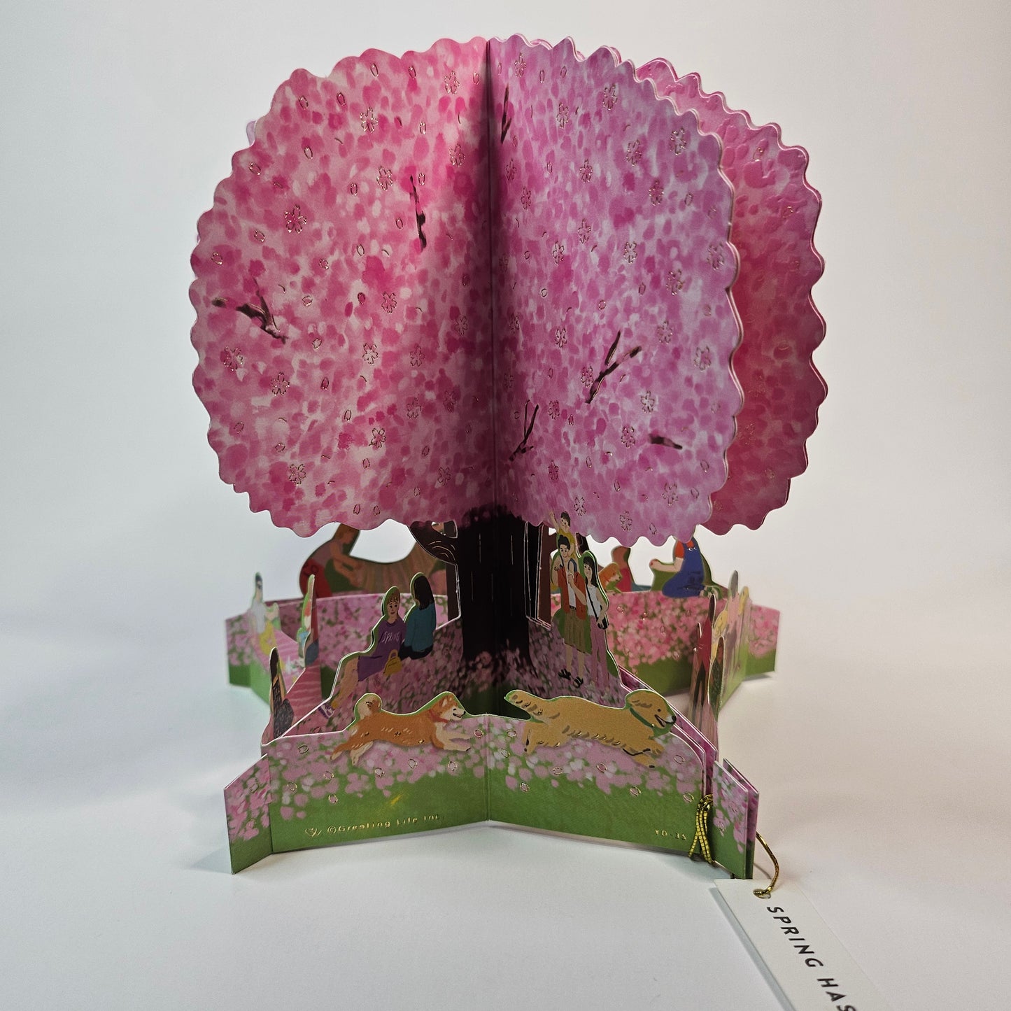 Sakura Hanami Pop-up Card