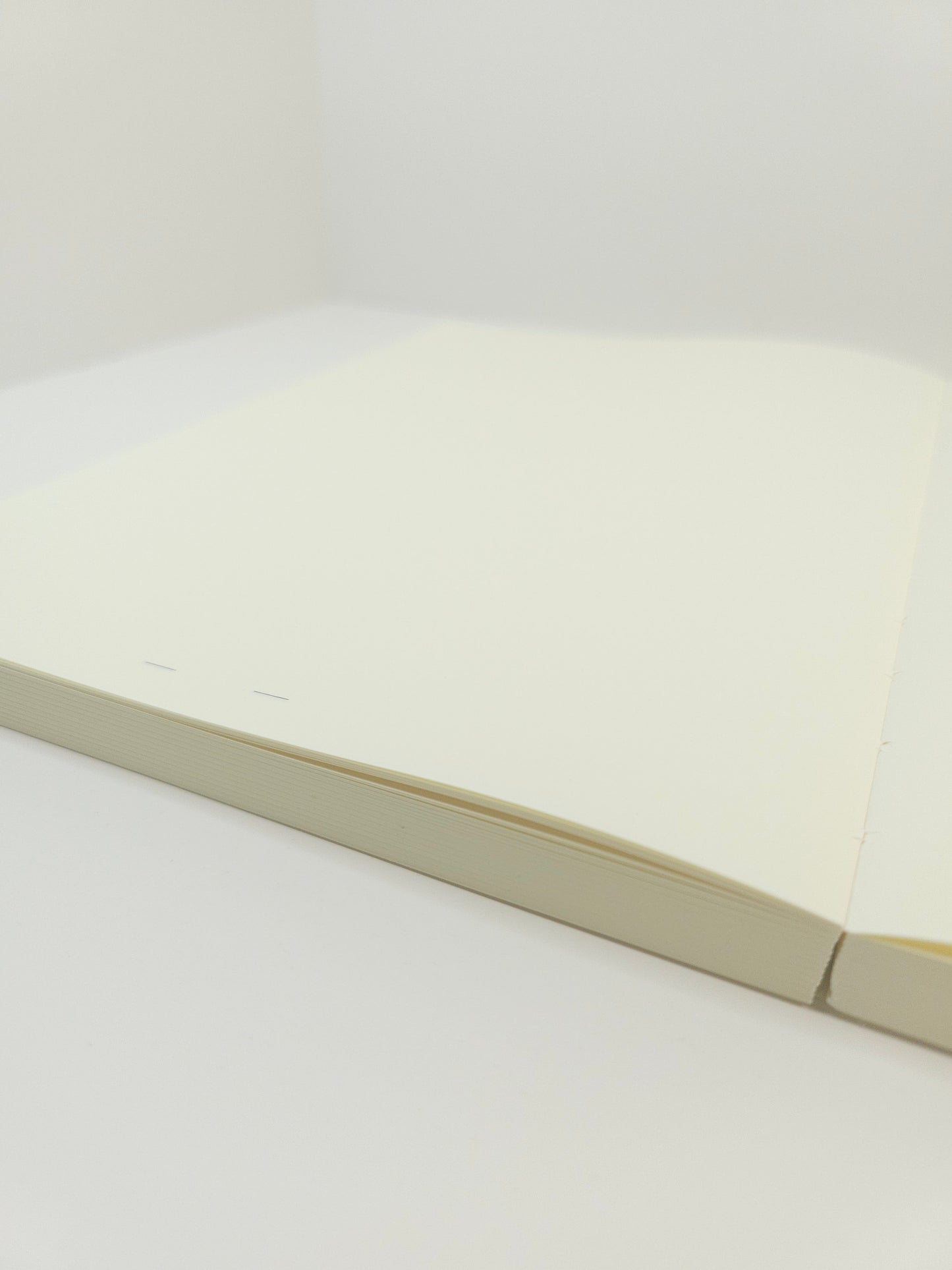 MD NOTEBOOK JOURNAL Codex 1Day 1Page <5> Blank