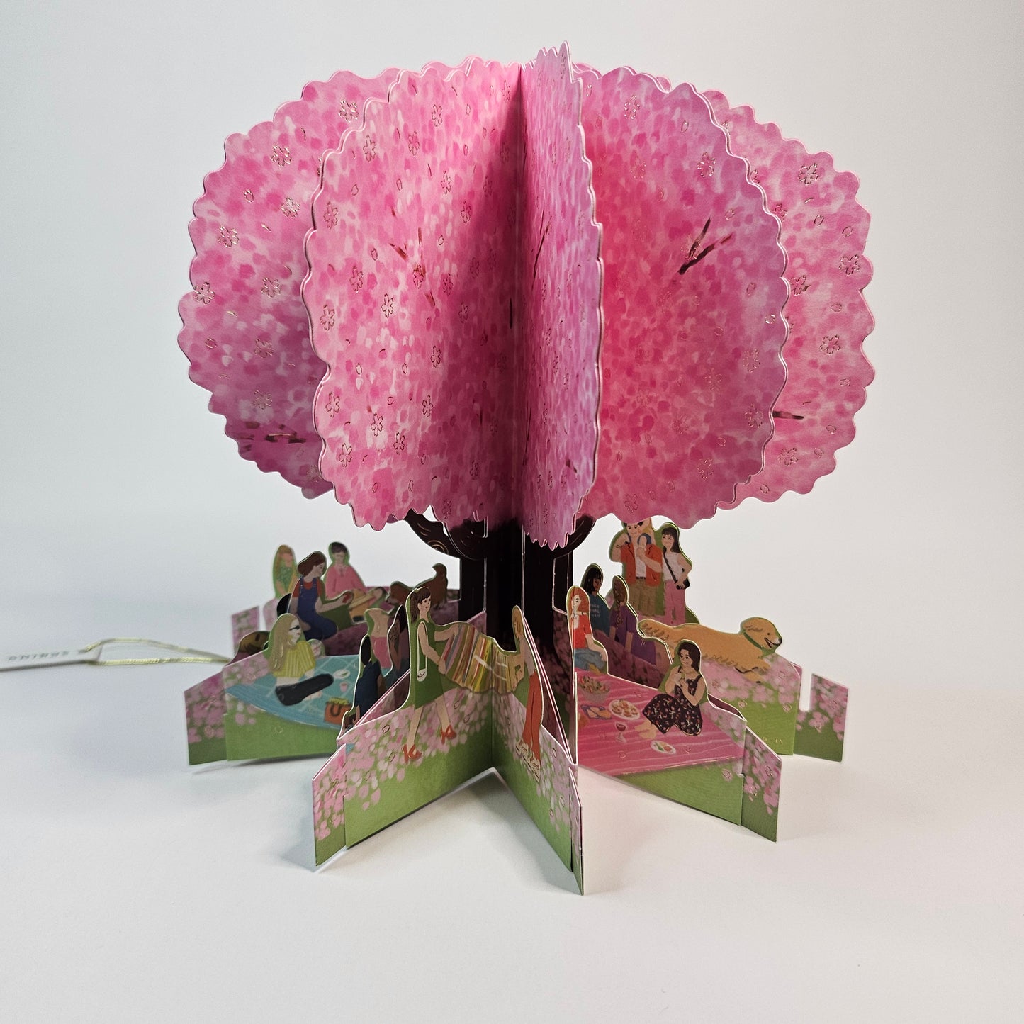 Sakura Hanami Pop-up Card