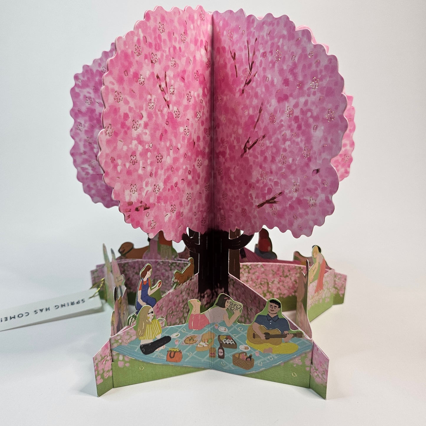 Sakura Hanami Pop-up Card