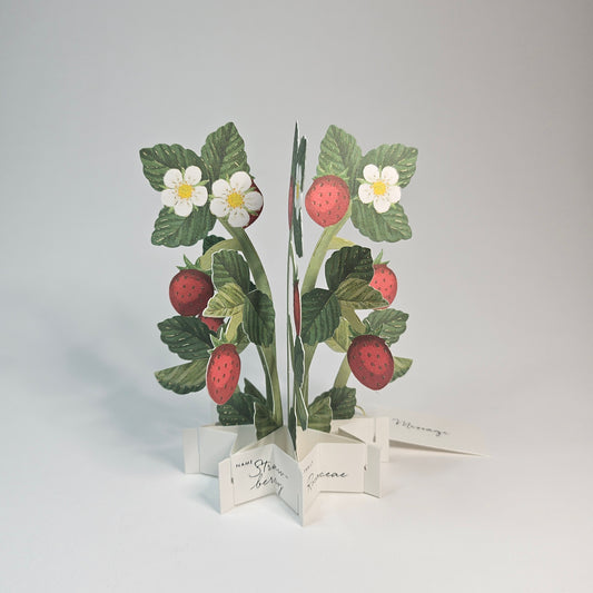 Strawberry Blooming Mini Pop-up Card